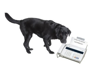 dog-with-fax