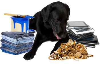 doggy-goods
